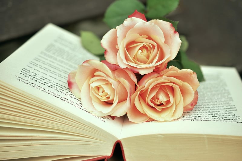 Bohemian Chic Books